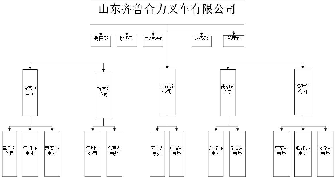 齐鲁J9直营集团组织机构图.jpg